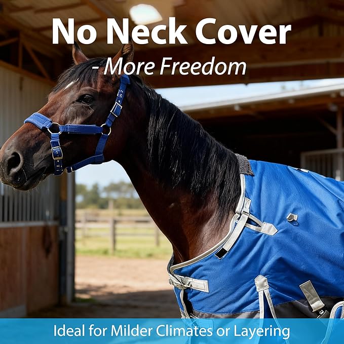 Winter Horse Blanket with Belly Band – Horse Blankets for Real Horses – Medium Weight Turnout Blanket - 1200D 260g – 78"