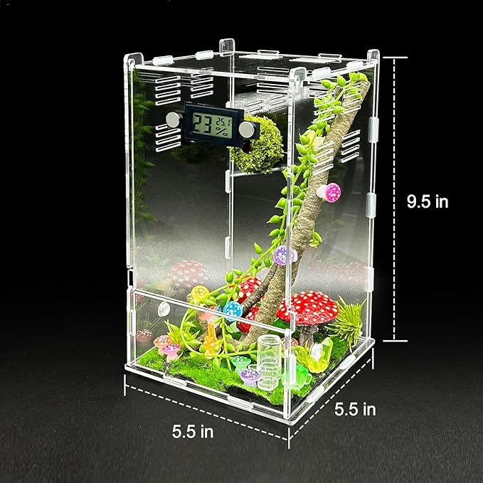 Jumping Spider Enclosure,DIY Insects Habitat,Small Reptile Terrarium Glass House Accessories Set,with Temperature and Humidity Detector Water Feeder Platform Hide,5.5“x5.5”x9.5“ (Luminous Mushrooms)