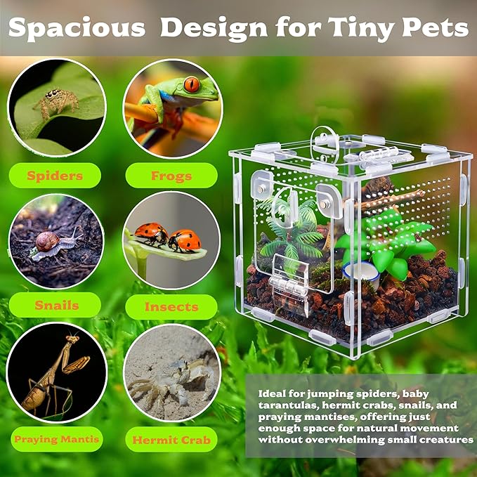 Jumping Spider Enclosure, Small Reptile Terrarium for Tarantula Hermit Crab Praying Mantis, Acrylic Insect Habitat with Magnetic Front & Top Opening (4.52" x 4.52" x 4.52")
