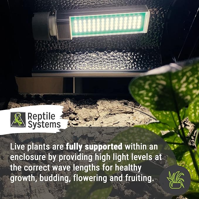 Reptile Systems New Dawn LED Compact – Balanced 6500K 13w Light for Enclosure Illumination – Compact Fixture for Terrariums & Vivariums – Enhances Clarity & Display