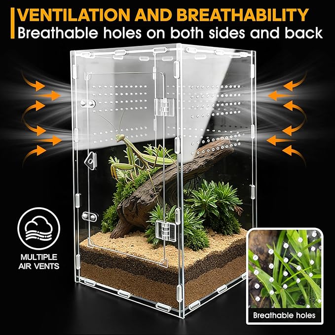 Jumping Spider Enclosure, Insect Terrarium, Bug Cage, Acrylic Terrarium for Tarantula, Snail, Praying Mantis, Frog, and Small Reptiles (7.8" x 7.8" x 13.7")
