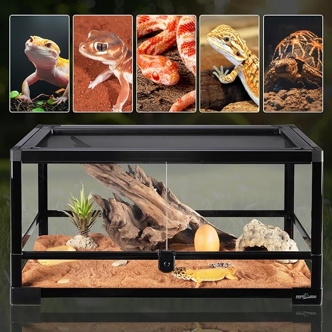 REPTIZOO Reptile Terrarium 24" X 12" X 12", 15 Gallon Glass Reptile Tank with Double Hinge Door Top Screen Ventilation, Easy Assembly Front Opening Terrarium Habitat