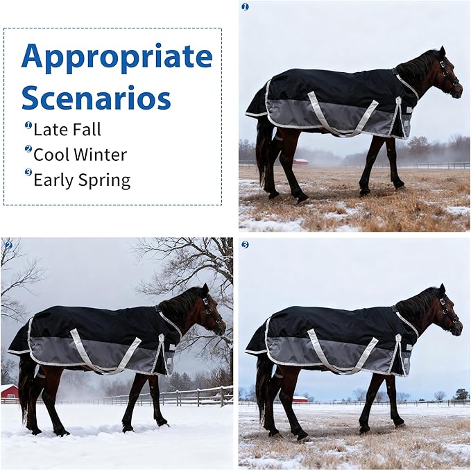 Winter Blanket for Mini Horse, Pony, Donkey, Llama, Alpaca, Small Equine- 220g Filled Medium Weight Winter Horse Blanket - 1200D Water Resistant (55‘’)