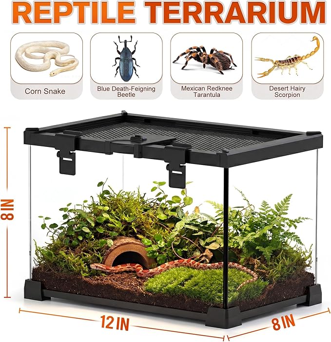 12"x8"x8" Mini Reptile Glass Terrarium, Top-Opening Vivarium with Escape-Proof Lock & Feeding Door, Suitable for Small Reptiles Such as Hatchling Snakes, Tarantulas & Beetles.