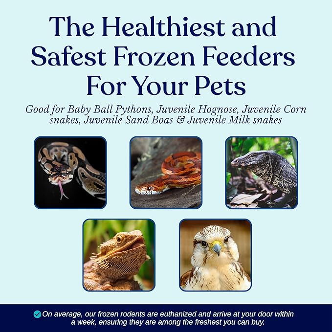 MiceDirect 20 Frozen Rat Fuzzies Feeders Snake Food for Adult Corn Snakes Ball Pythons (2-2.5 in)(180 Grams Min)