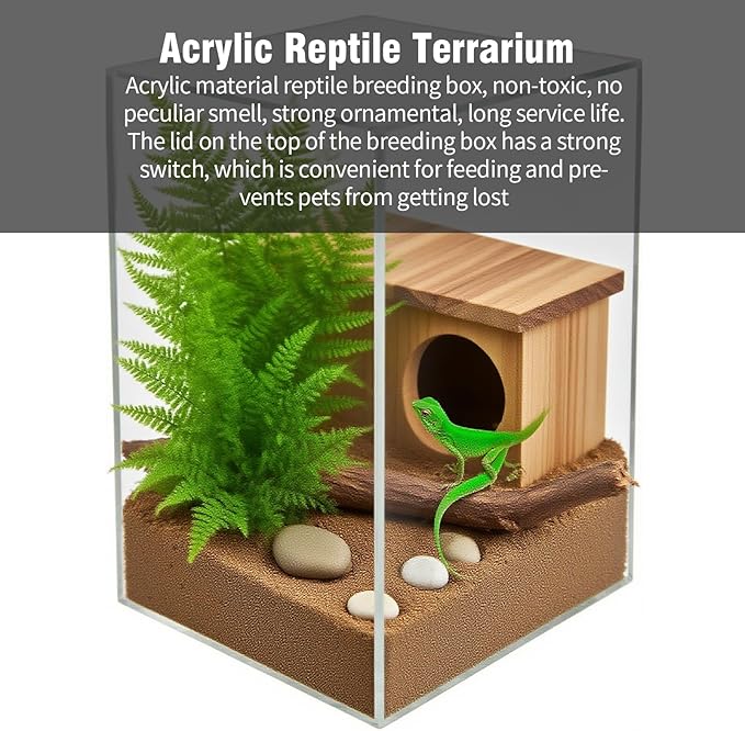 Acrylic Reptile Terrarium 4.7''x4.7''x7.8'' Micro Transparent Habitat Tarantulas Cage Jumping Spider Enclosure for Small Reptile Insect Office Home