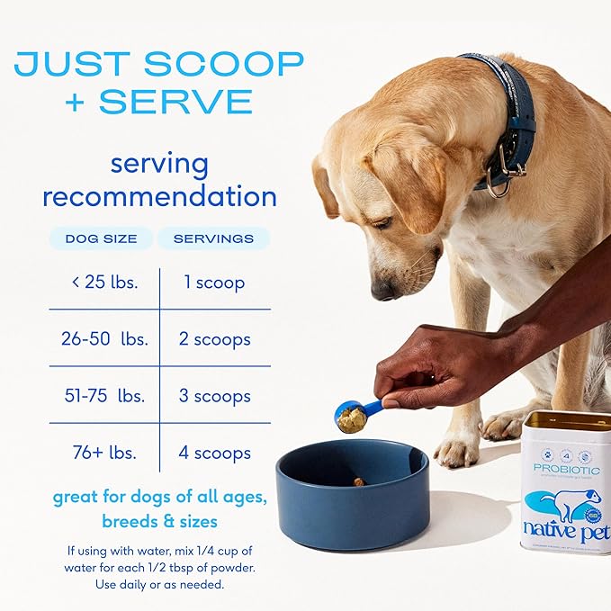Native Pet Probiotics for Dogs – Dog Probiotic Powder for Gut & Digestive Health, Vet-Formulated 6B CFUs Dog-Specific Probiotic Strains, Supports Stool Quality & Diet Transitions – 60 Scoops