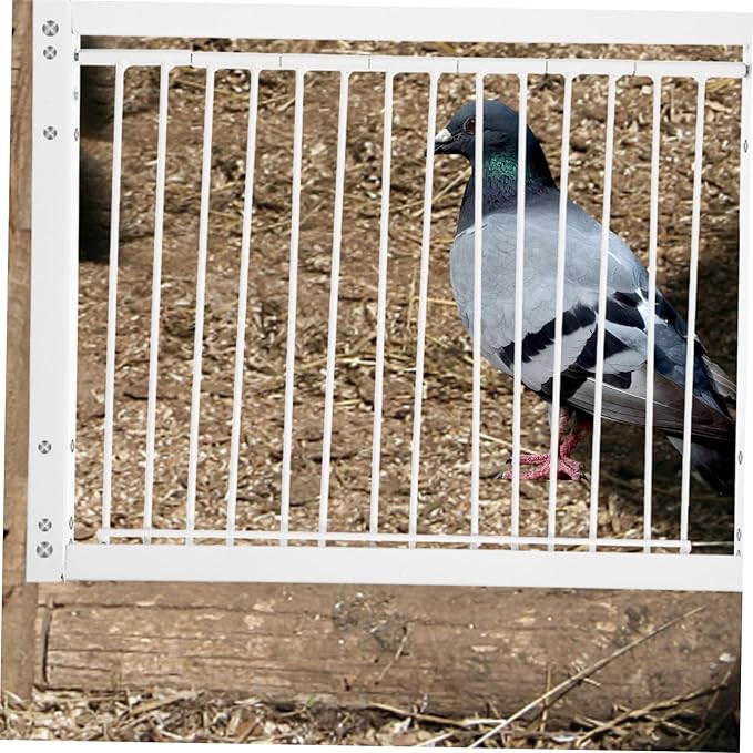 POPETPOP Iron Pigeon Entrance Door for Bird Cage Loft Racing Pigeon Safe Access Breeding Carrier Cage Replacement