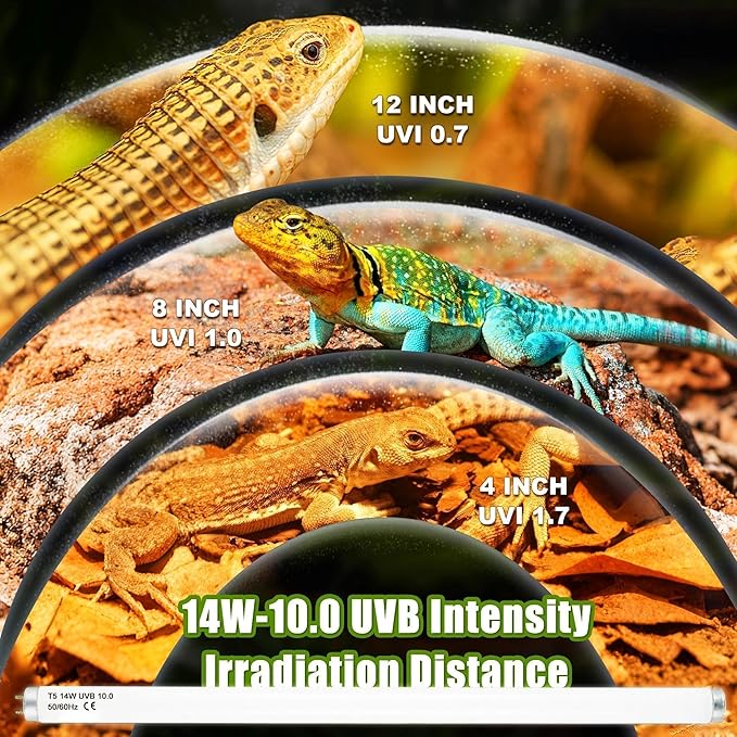 T5 HO UVB 10.0 Reptile Replacement Tube, 14W 22 in Linear Fluorescent Lamp, for Tropical Reptiles