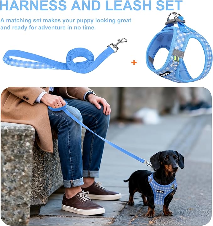 AIITLE Adjustable Dog Harness and Leash Set, Step in No Pull Pet Harness, Soft Mesh Reflective Plaid Vest Harnesses for Small Dogs Puppy and House Cats Outdoor Walking Running Blue XS