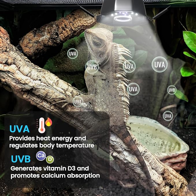 GlowUp UVB Reptile Light with Dimming, UVA UVB 10.0 Reptile Light Bulb Fixture for Rainforest&Desert Reptile UVB5.0&UVB10.0, Adjustable Brightness UVB Lamp for Bearded Dragon Gecko Lizard Turtle