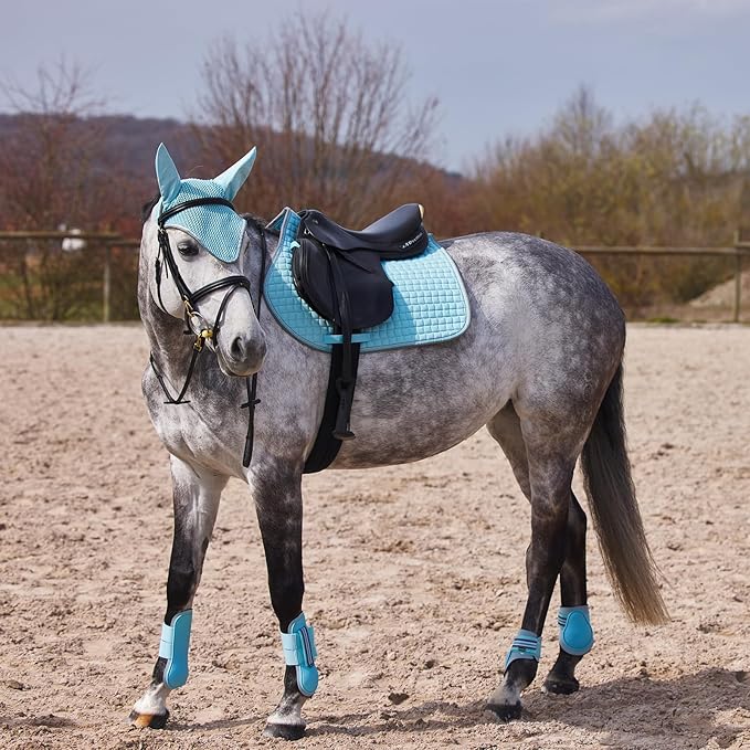 HORZE Adepto Open Front Tendon Boots | Durable Shell with Neoprene Lining - Canal Blue - Horse