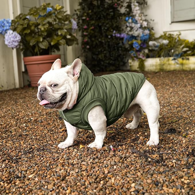 vecomfy Fleece Lining Extra Warm Dog Hoodie in Winter for Large Dogs Jacket Pet Coats with Hooded Green XL