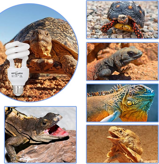 REPTI ZOO Energy Saving Lamps UVB Bulb Spiral Compact 15 Watts UVB 10.0 Reptile Light Bulb Fit for Desert Type Reptile/Snake/Lizard/Insect/Leopard Tortoise