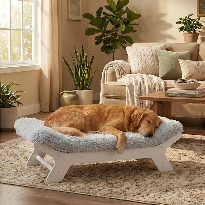 Muihood Wood Elevated Dog Bed Frame and Egg Crate Foam Mattress, Luxurious Suitable for Pets Up to 95 lbs, White, XL