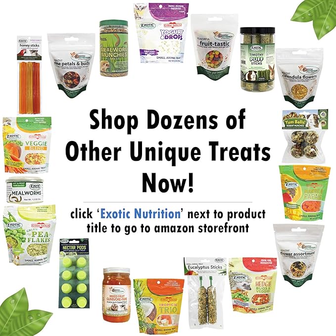 Exotic Nutrition Eucalyptus Leaves (60 g.) - Healthy Natural Treat - Native Sugar Glider Food - 100% Natural Dried Eucalyptus Leaves