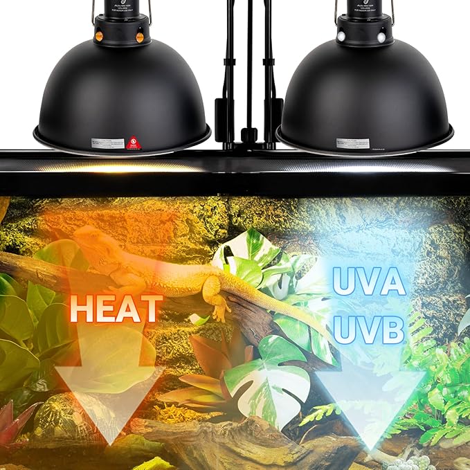 WACOOL TERRA Reptile Light Fixture 2 Pack, 8.5 in Deep Dome Reptile Heat Lamp Fixture, Optical Reflection Terrarium Light Fixture for Reptile UVB UVA Heat Basking Bulbs, Separate Switch & Hook