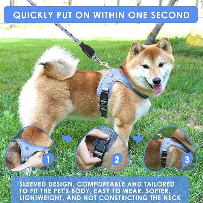 Dog Harness and Leash Set, No Pull Saddle Style Pet Harness, Breathable Mesh Adjustable Reflective Dog Vest for Dogs and Cat Medium Small Harness 2 D-Rings (Blue, L)