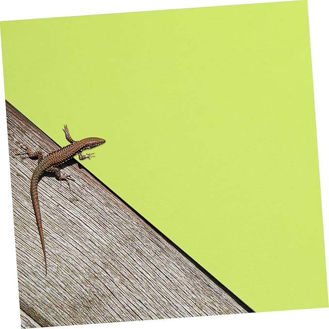 Garneck 2pcs Reptile Carpet Mat for Terrarium Non-Tearing Bedding for Tanks for Snakes Lizards Tortoises and More