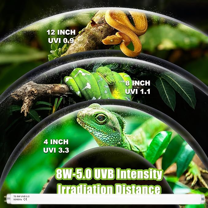 T5 HO UVB 5.0 Reptile Replacement Tube, 8W 12 in Linear Fluorescent Lamp, for Rainforest Reptiles
