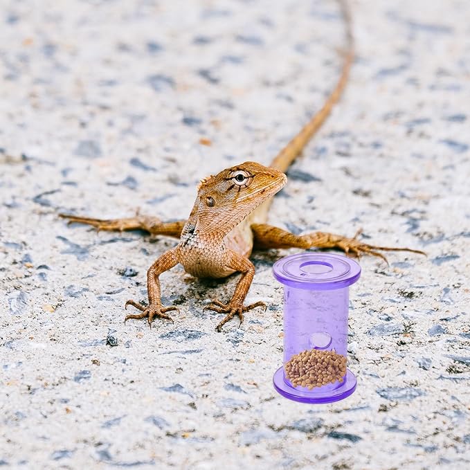 4pcs Bearded Dragon Enrichment Toys, Reptile Feeding Accessories, Transparent Plastic Reptile Rolling Interactive Feeding Toy for Leopard Gecko, Crested Gecko