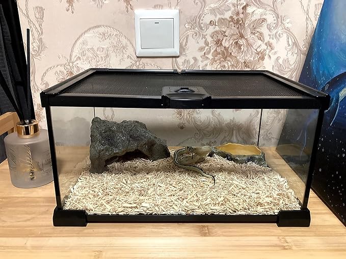 AWXZOM Mini Reptile Glass Terrarium Tank, cage for Tarantula Sling Geckos, Frog, Lizards, Chameleons,Turtles Snake Snail Insect Hermit Crab Isopods Reptiles Enclosure (12x8x6inch)