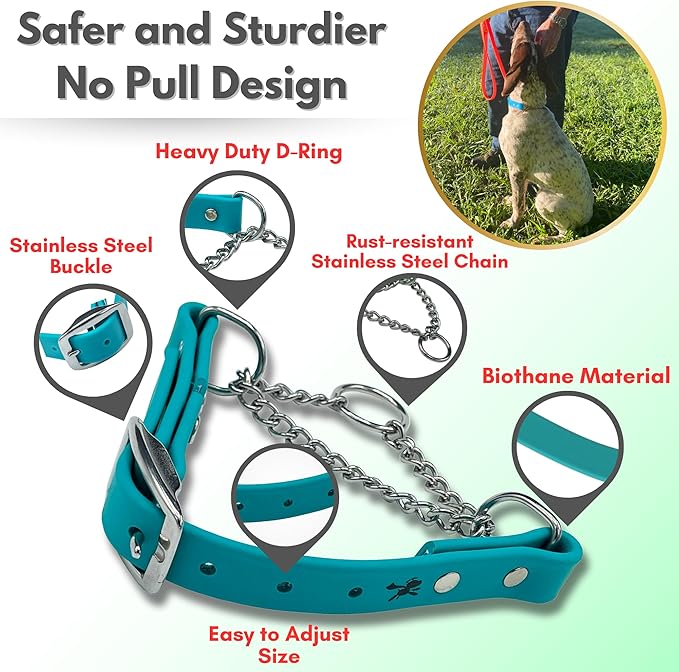 Martingale Collar for Dogs, Biothane, Stainless Steel Hardware, No Pull, Made in The USA, Professional Grade, XS, Teal