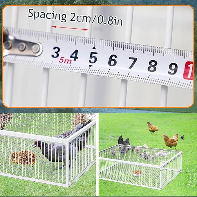 Carrier Pigeon Cage Pigeon Bird Trap Cage One-Way Entrance Trapping U-Trap Door for Quail Doves(White,60 * 40cm)