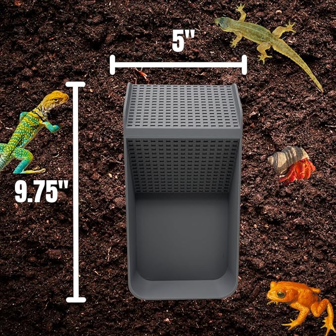 Chatelet Hermit Crab, Lizard, Turtle, Amphibian XL Watering Pool | Platform Pool Accessory with Access Ramp for Pet Habitats | 9.75" x 5" | Made in USA (X-Large) (Fresh Only, Gray)