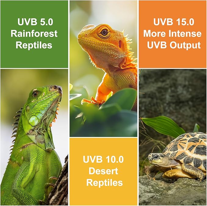 UVA UVB Reptile Light Bulb with Ceramic Heat Emitter Combo, 10.0 26W UVB Light for Bearded Dragon & 2-Pack 75W No-Light Heat Lamp, All-in-One UVB & Heat Source for Reptiles and Amphibians
