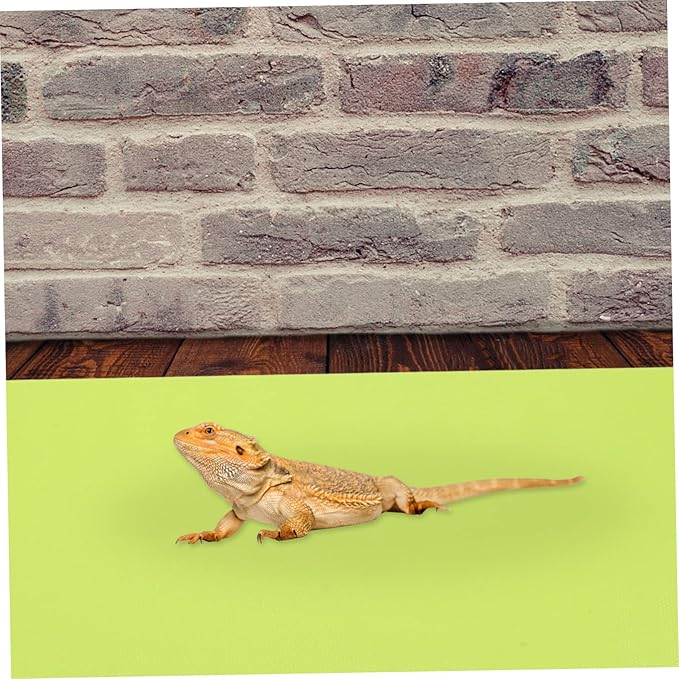 Yardwe 2pcs Reptile Carpet Mat Oil and Non-Absorbent Substrate for Snake and Lizard Habitats Easy to Clean Terrarium Bedding Green