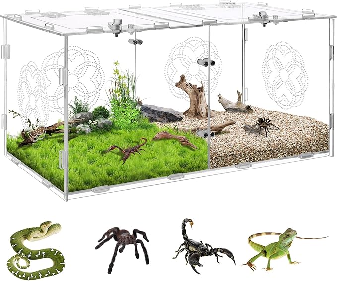 Acrylic Jumping Spider Enclosure with Double Compartments, Large Size,15.7 * 7.8 * 7.8 inches, Reptile Terrarium Aquarium Breeding Tank for Reptiles Spiders Snake Lizard