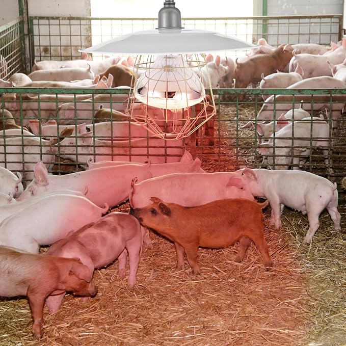 Yardwe Mini Pig Heat Lamp Livestock Heat Lamp Poultry Safe Warm Light for Animals