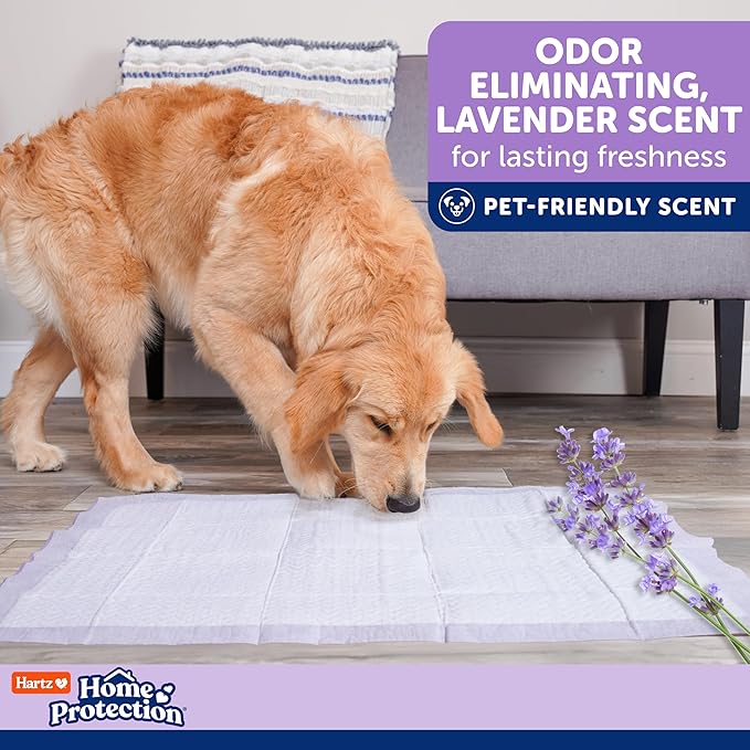 Hartz Home Protection Super Absorbent Odor Eliminating Lavender Scented No Leaks Dog Pads, XL 60 Count
