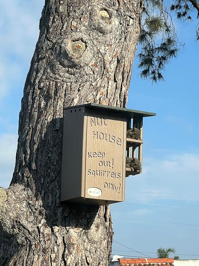 JCS Wildlife Ultimate Wooden Squirrel House, Multi-Tier Squirrel Nesting House with Predator Guards, Weather-Resistant Recycled Poly Lumber, Easy-Clean Tree House for Outside, Green & Tan