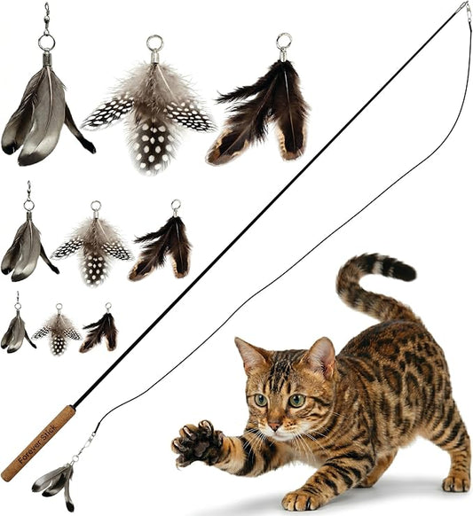 Forever Stick and 9 Cat Feather Toy Refills - The Unbreakable Cat Wand Toy, Durable Cat Toy Wand, Extra Long Cat String Toy, Cat Fishing Pole Toy for Bored Indoor Adult Cats, Cat Stick Toy by Repounce