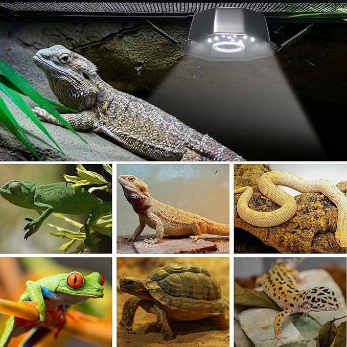GlowUp UVB Reptile Light with Dimming, UVA UVB 10.0 Reptile Light Bulb Fixture for Rainforest&Desert Reptile UVB5.0&UVB10.0, Adjustable Brightness UVB Lamp for Bearded Dragon Gecko Lizard Turtle