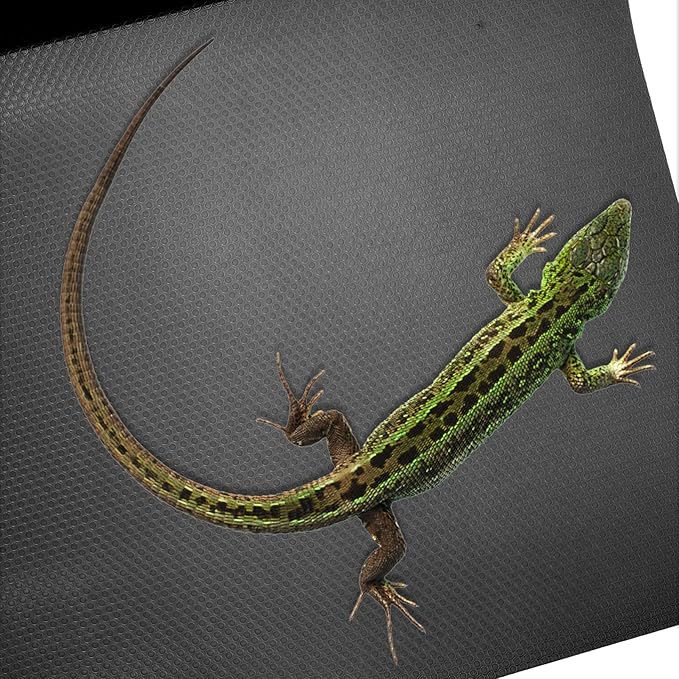Reptile Carpet for Bearded Dragons Snakes and Lizards Non Abrasive Substrate Mat Safe and Comfortable Terrarium Bedding for Easy Clean Up