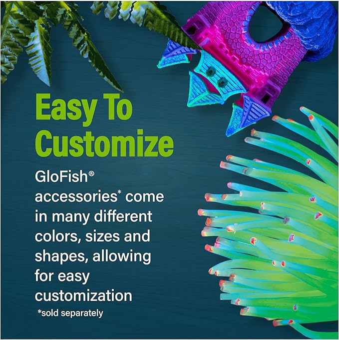 GloFish Betta Trilogy Aquarium, 3 Gallons, Includes LED Lights and Filter