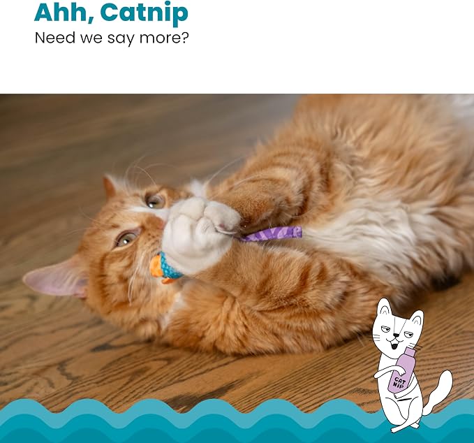 Catstages Catnip Chew Mice 2 Pack?€? Interactive Dental Cat Chew Toy that Helps Clean Teeth, Mouse, Multicolored - Image 4
