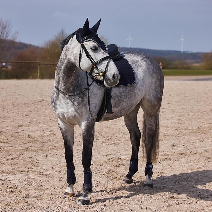 HORZE Adepto Fetlock Boots - Dark Navy - Cob