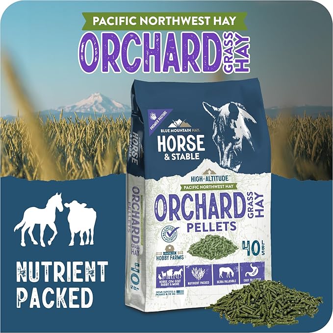 Blue Mountain Hay High Altitude Orchard Grass Hay Pellets (40 lb), Ultra Premium Nutrient Dense Forage, Small Quick Soaking Low Dust Pellets, Easy to Measure, Automatic Feeder Friendly