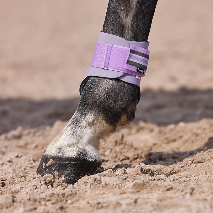 HORZE Adepto Fetlock Boots - Languid Lavender Purple - Horse