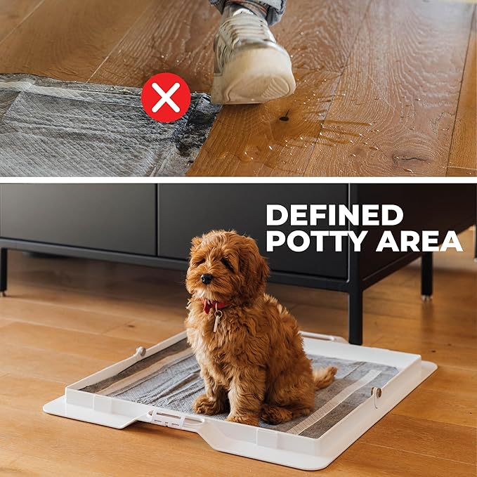 KindTail Pee PAWD - Holds Standard 24" x 24" Potty Pads - Leakproof Tray with Non-Slip Bottom, 1.5" Raised Edge & Modular Side Panel - Easy-to-Clean Plastic - Foldable Design - Handle for Travel