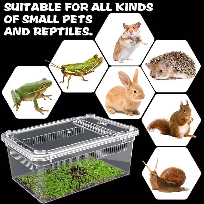 10 PCS Reptile Feeding Box, Isopod Enclosure Plastic Terrarium, Reptile Breeding Box for Bearded Gecko Dragon Lizard Spider Frog, Rreptile Carrier (Clear) (Clear, 7.5x4.9x3 in)