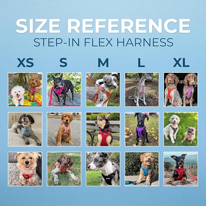 Best Pet Supplies Voyager Adjustable Step-in Flex Breathable Mesh Dog Harness for Small Medium Large Dogs Leash Set (Black), XL