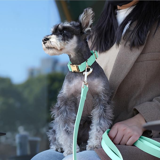 PET ARTIST Soft PU Leather Dog Collar and Leash Set, Bright & Stylish 5FT PU Leather Leash and Collar Set, Durable Pet Collars with Quick Release Metal Buckle for Medium Dogs,Mint Green,M(13-19")