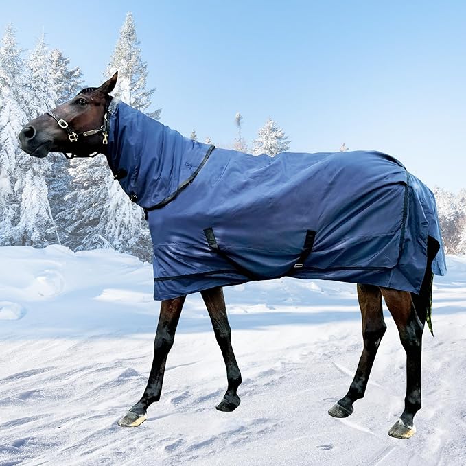 Horse Turnout Blanket | Medium Weight Horse Blanket with 1200D 250g Cotton Filling | Detachable Neck Cover & Belly Wrap (78in/145cm)