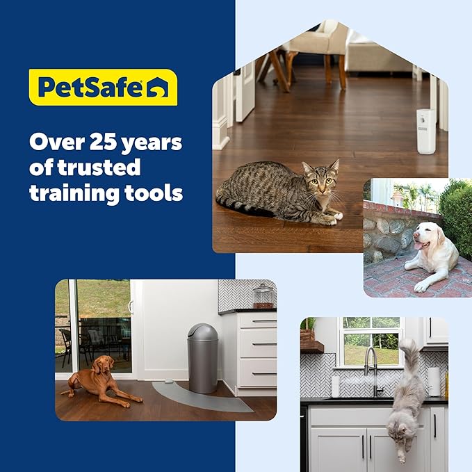 PetSafe SSSCAT Automatic Spray Pet Deterrent - Contactless Behavior Correction - Motion Sensor Air Burst - Odorless - Non-Staining - Versatile Placement Spray - Refill Can