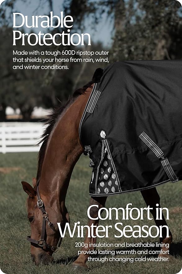 Equinavia Norse 200g Medium Weight Horse Blanket | Waterproof Winter Turnout - Black - 66 in - Black - 69 in